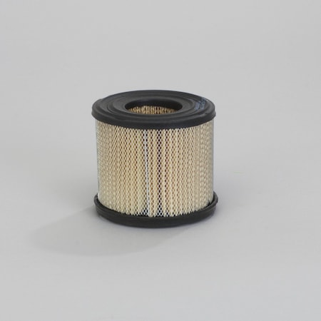 Donaldson Air Filter, P606290 P606290